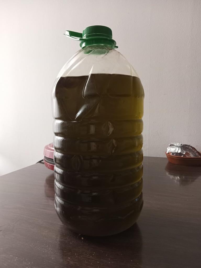 Huile d'olive Maroc, Divers