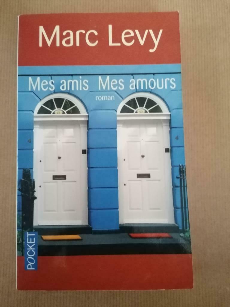 Marc Levy - Mes amis Mes amours, Ophalen of Verzenden, Gelezen, Marc Levy