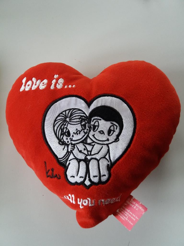 CADEAUTJE - kussentje LOVE IS ....all you need, Hobby en Vrije tijd, Ophalen, Zo goed als nieuw, Overige typen