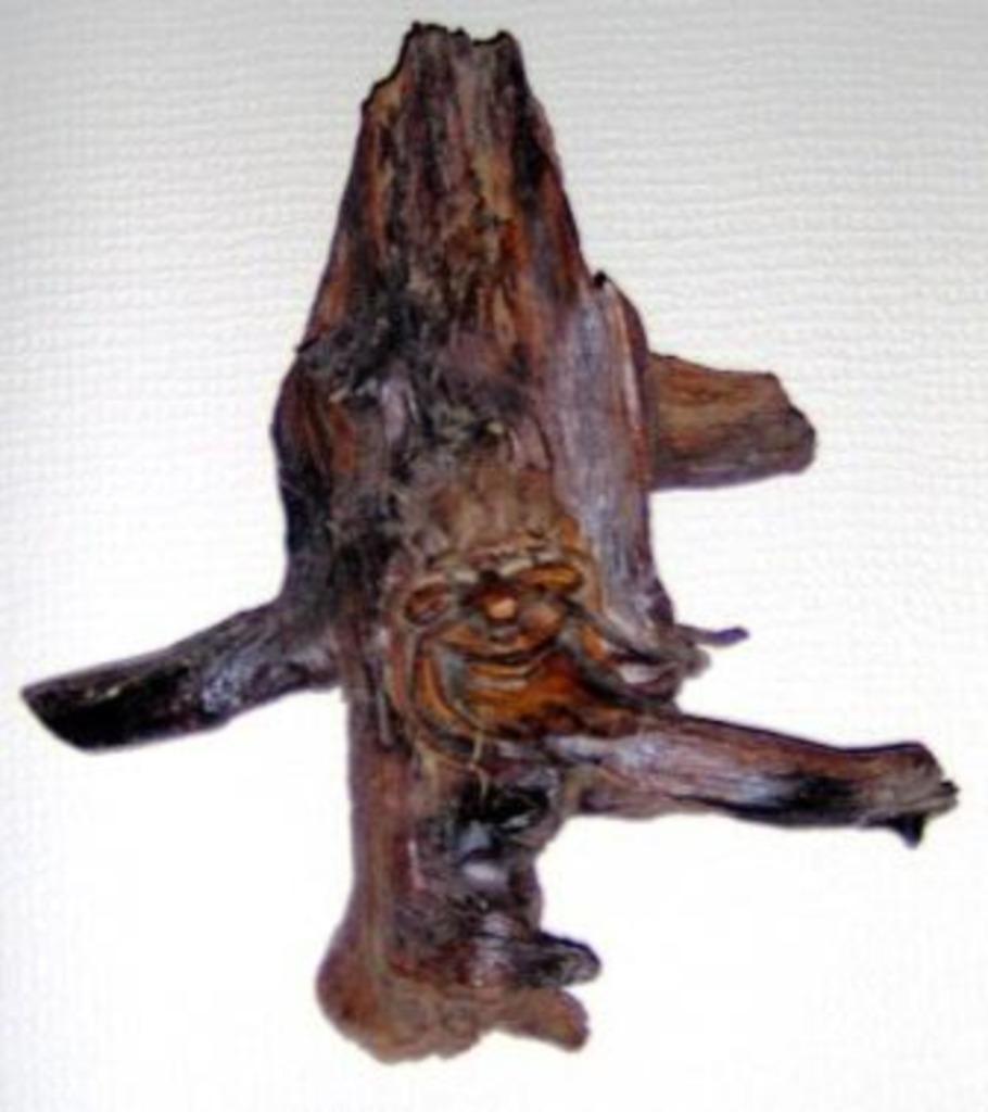 houtsnijwerk  boomgezicht, Antiek en Kunst, Ophalen of Verzenden