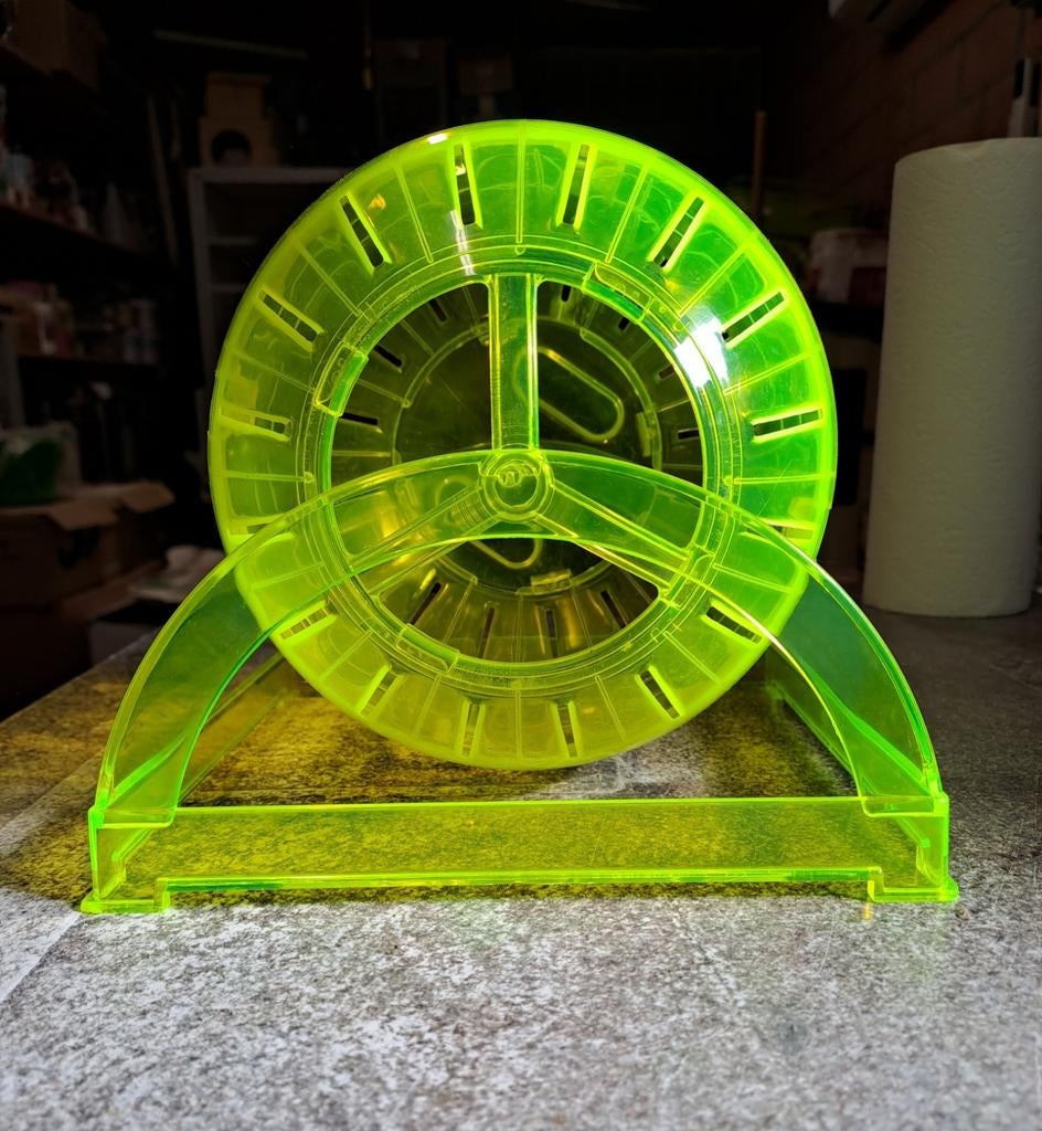 Loopbal (veilige versie) voor hamsters en muizen, Augustus, Hamster