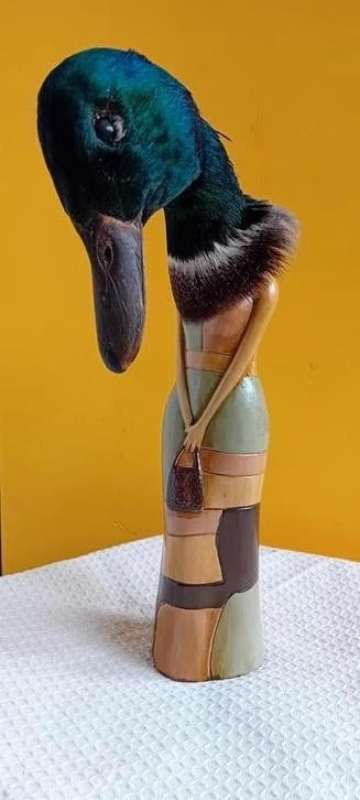Taxidermie met keramiek. Opgezette eend. Woerd.Rariteit., Ophalen of Verzenden, Zo goed als nieuw