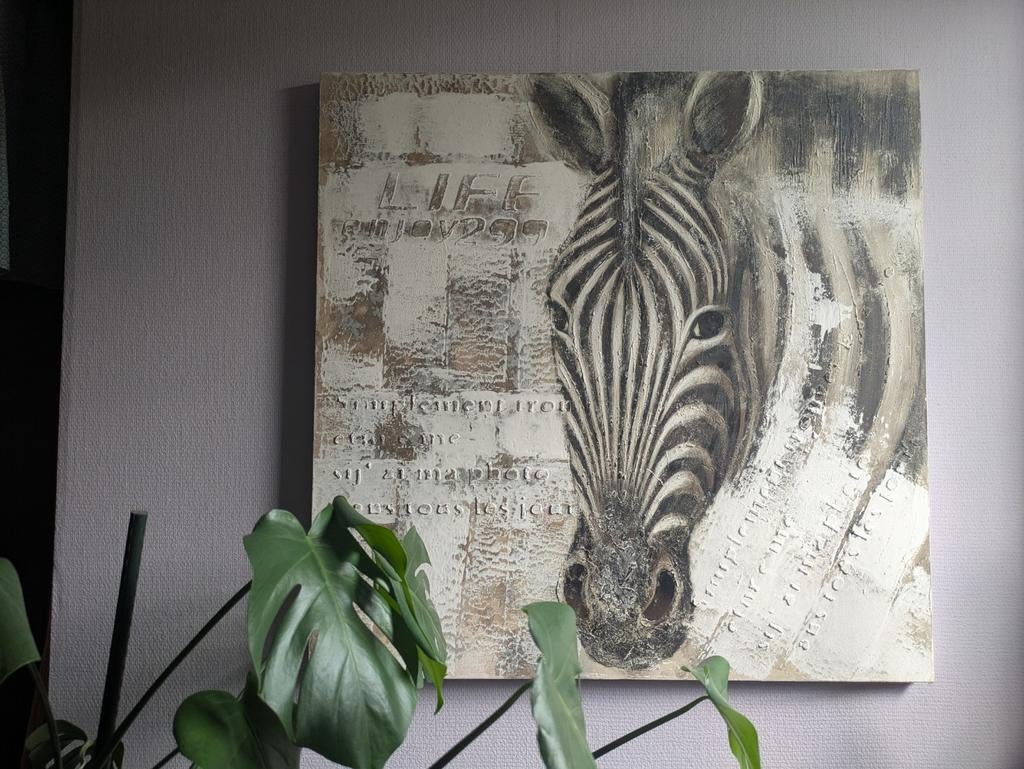 Grote canvas zebra relief, Enlèvement