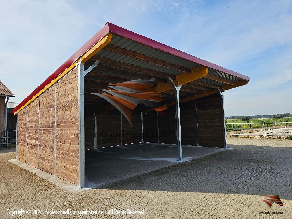 Paardenhok & Schuilstal, Paardenweide en Top - Schuilhok, Weidegang
