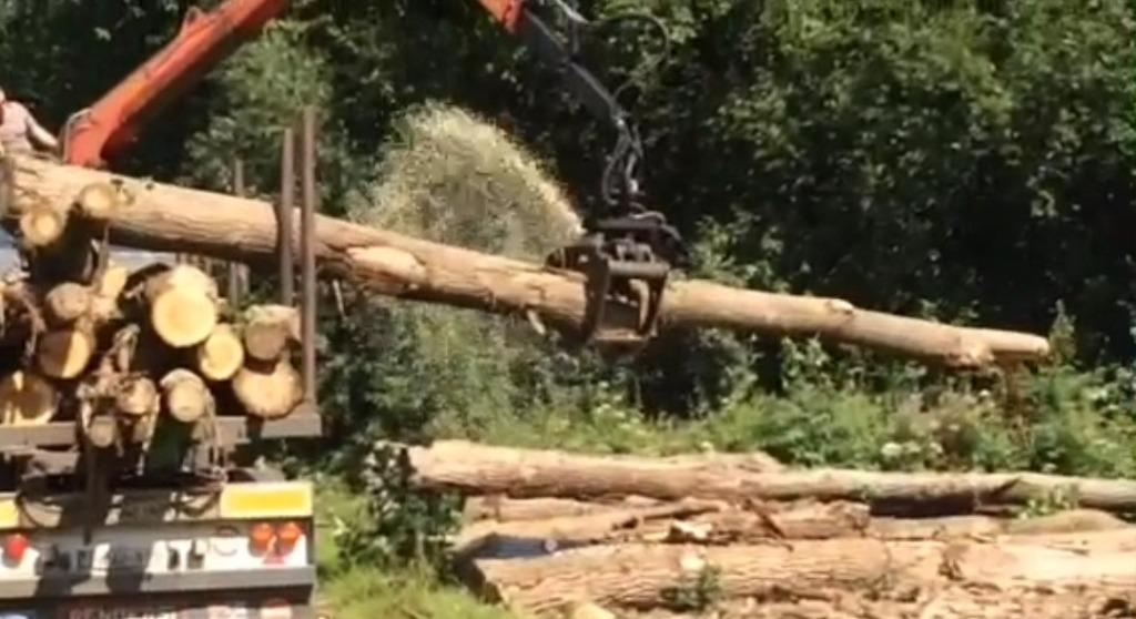 Goedkoop brandhout voor de doe-het-zelver (stammen voor ), Tuin en Terras, Brandhout, Stammen, Overige houtsoorten, 6 m³ of meer