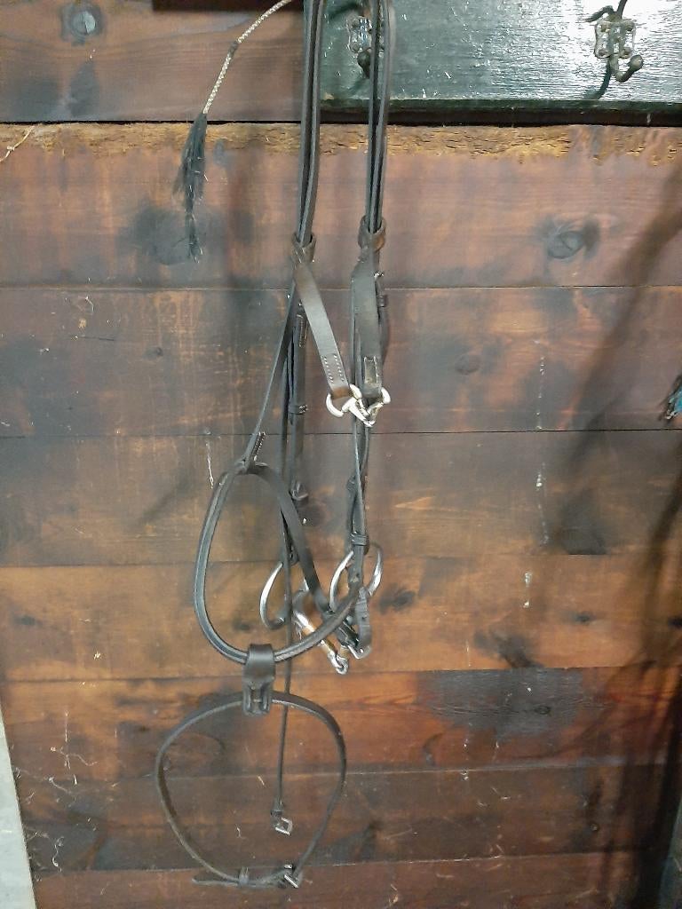 matériel d'équitation, Enlèvement, Utilisé, Autres espèces