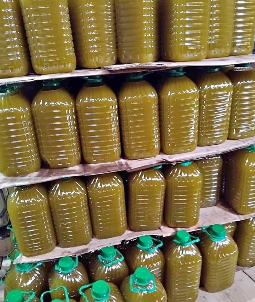 Huile d'olive Naturelle récolter en Novembre 2025, Divers, Enlèvement ou Envoi