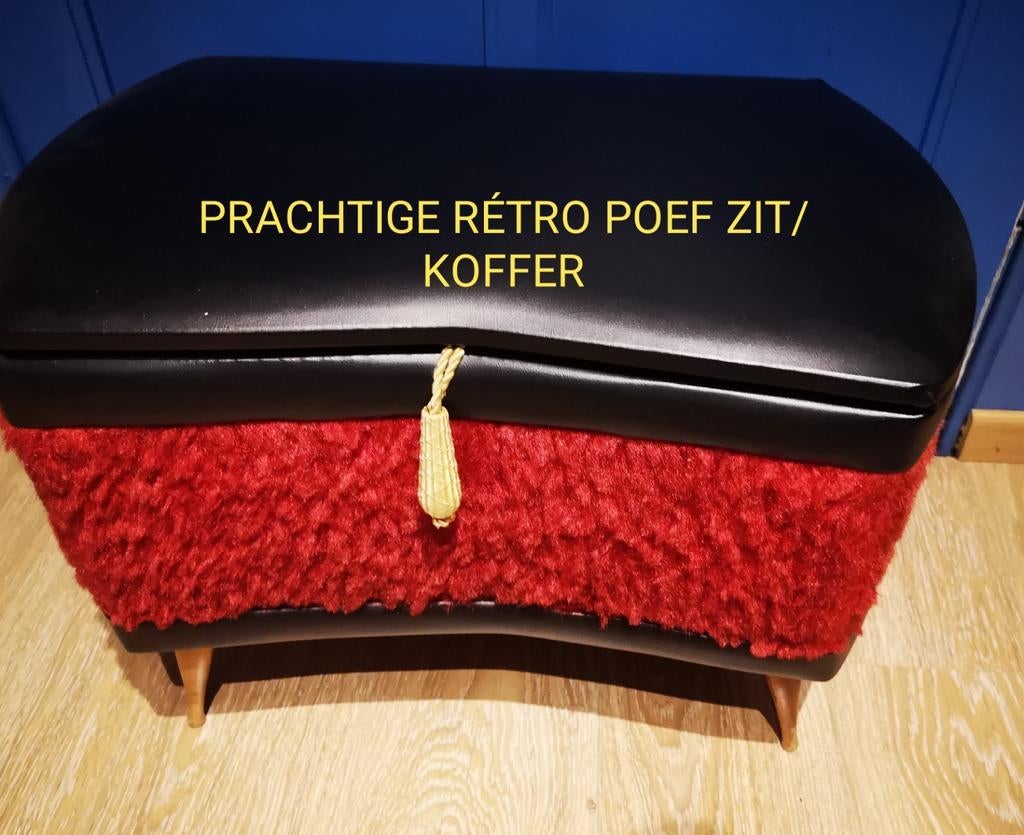 MOOIE STAAT! RÉTRO POEF/KOFFER, Ophalen, Overige typen