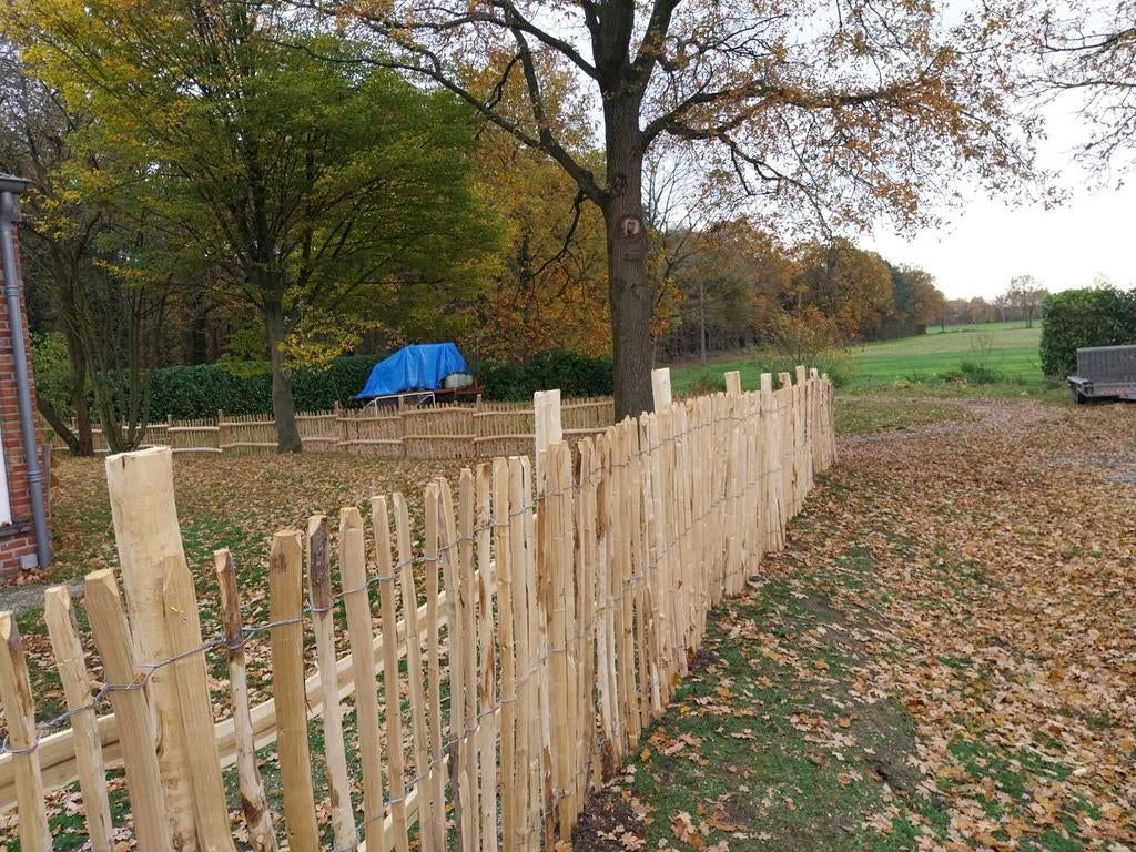 Goedkoopste kastanje hekwerk en grote stock Kippenhoeve, Ophalen of Verzenden