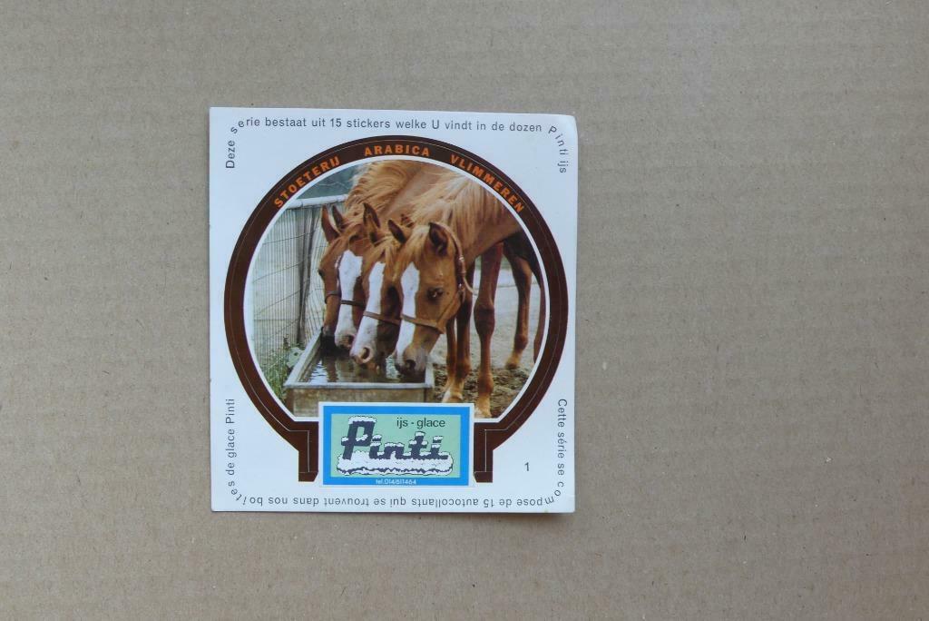 Sticker Pinti ijs, Stoeterij Arabica Vlimmeren nr1, Verzamelen, Ophalen of Verzenden, Dier en Natuur