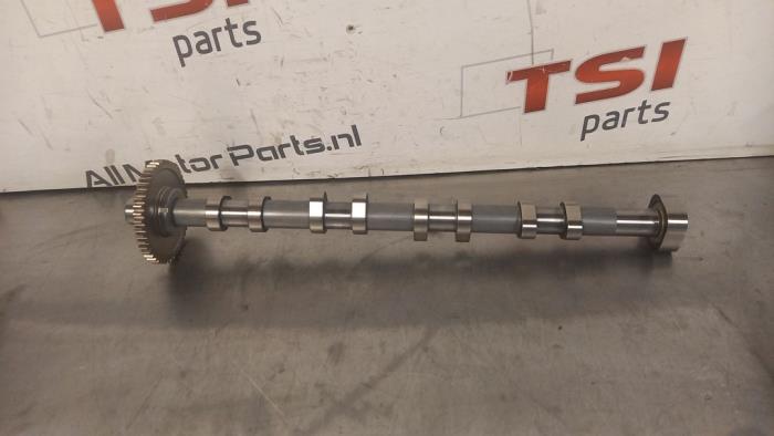 Arbre à cames d'un Volkswagen Golf, Neuf, Volkswagen, -, -