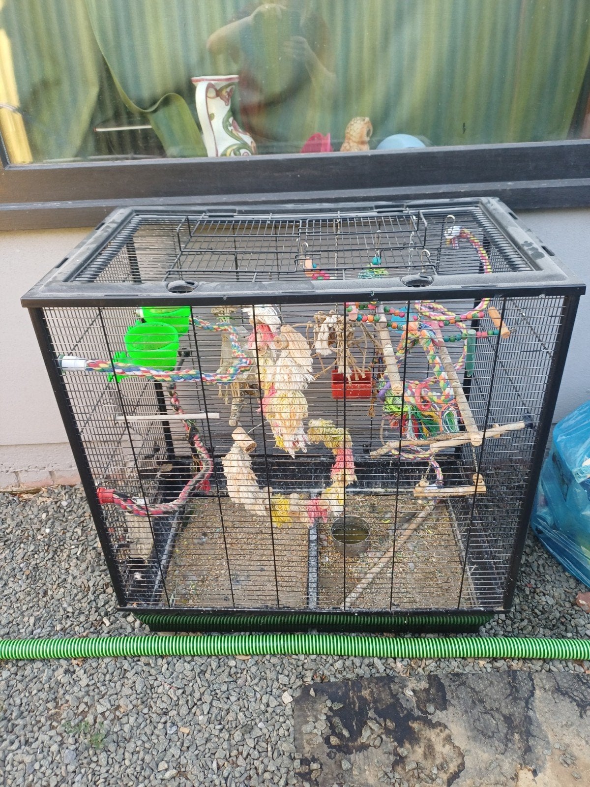 Vogelkooi, Dieren en Toebehoren, Ophalen, Vogelkooi
