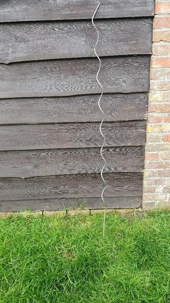 Tomaat spiraal, Tuin en Terras, Planten | Tuinplanten, Ophalen, Eenjarig, Groenteplanten