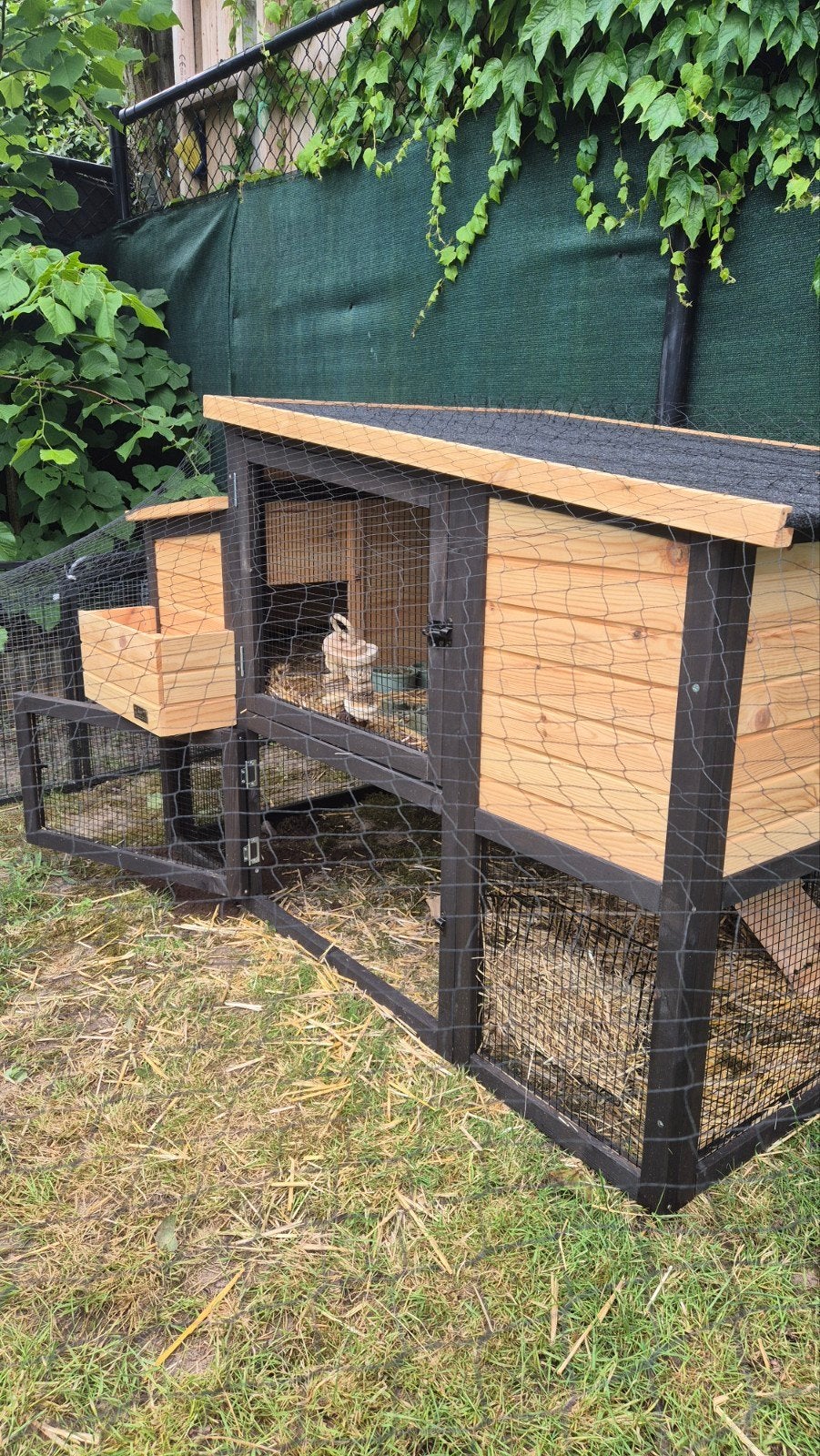 Konijnen hok, Dieren en Toebehoren