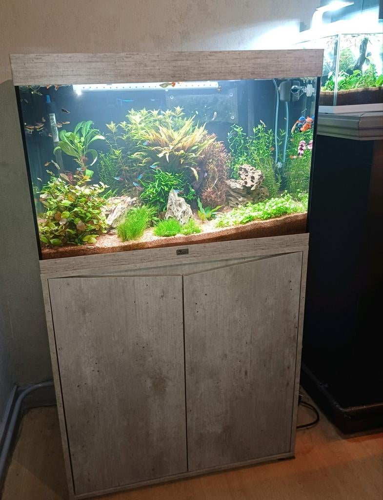 Aquarium Aquatlantis 170 litres avec tous les accessoires, Aquatlantis, Comme neuf, Enlèvement, Poissons inclus
