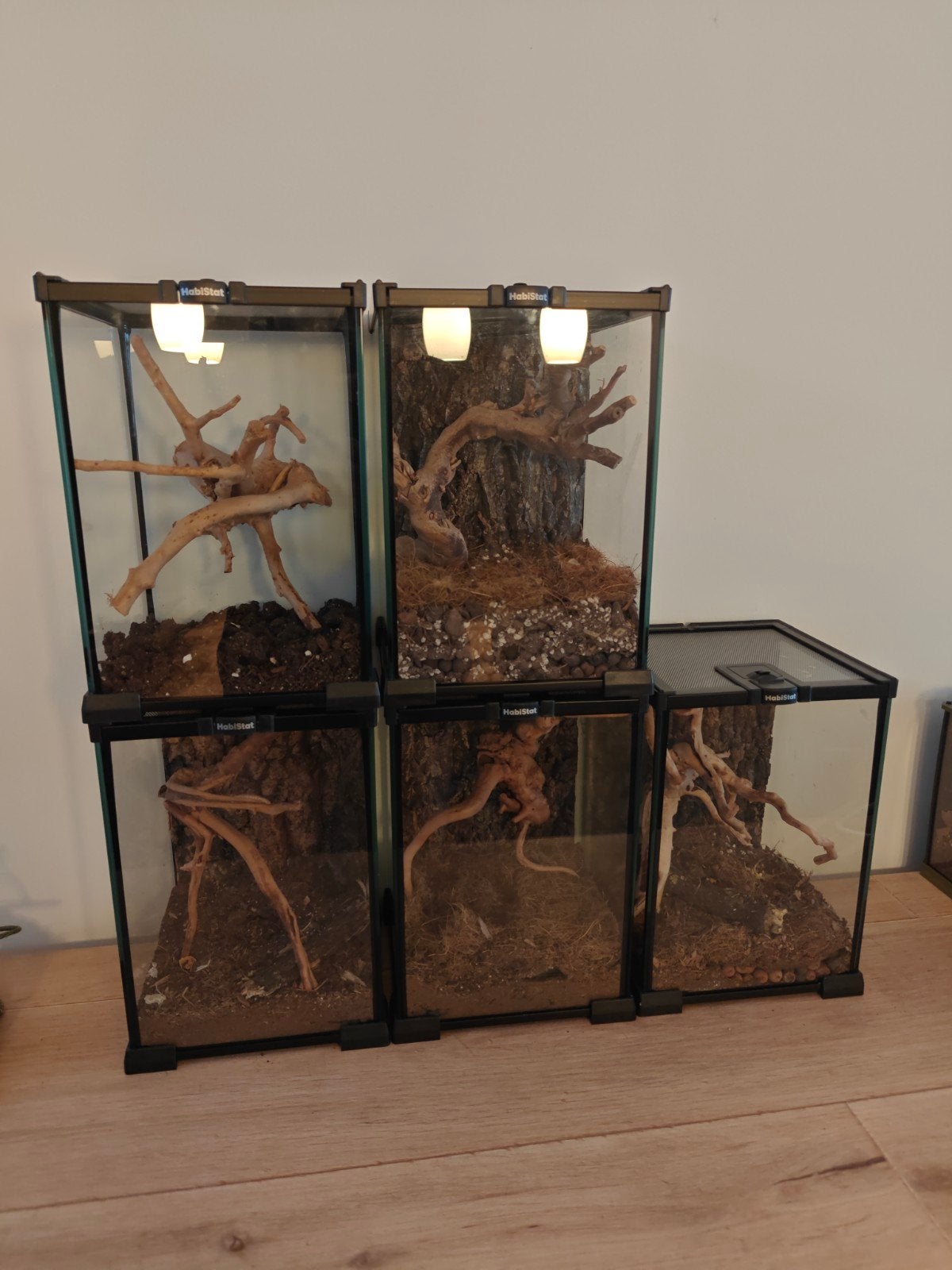 Habistat glazen terrariums 20x20x30cm | 5 stuks, Dieren en Toebehoren, Ophalen of Verzenden, Zo goed als nieuw, Terrarium of Paludarium