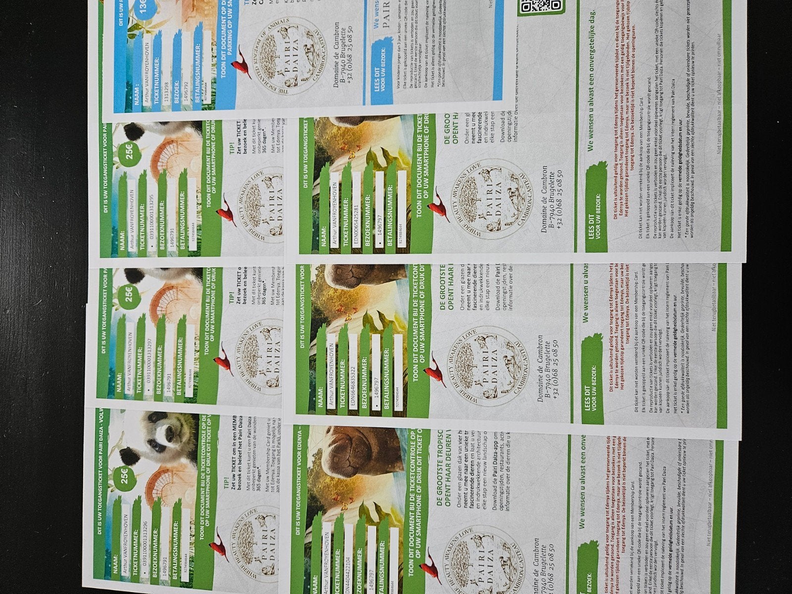 3 billets Pairi Daiza + Edenya et ticket de parking pour le, Tickets & Billets