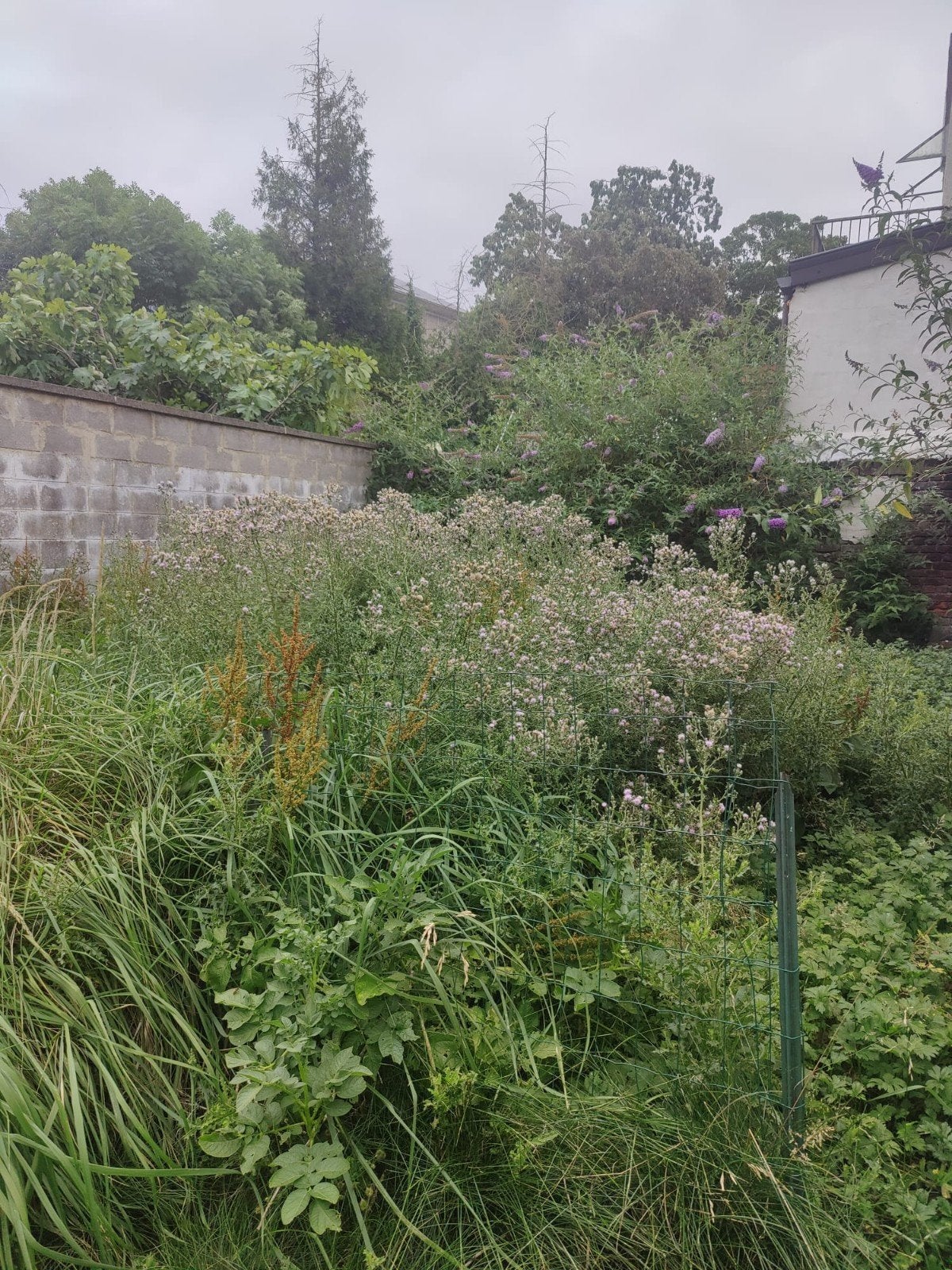 Jardinier à bas prix pour vous, Offres d'emploi