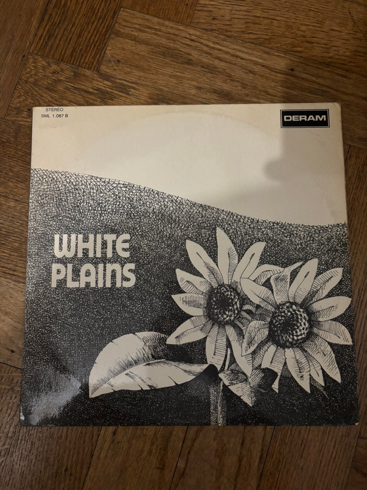 White plains - White plains, Enlèvement ou Envoi, Pop, Utilisé, LP