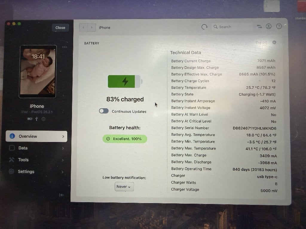 Zo goed als nieuw: Apple iPad 9th Gen - 256GB -Batterij 100, Informatique & Logiciels, Apple iPad Tablettes, Enlèvement ou Envoi
