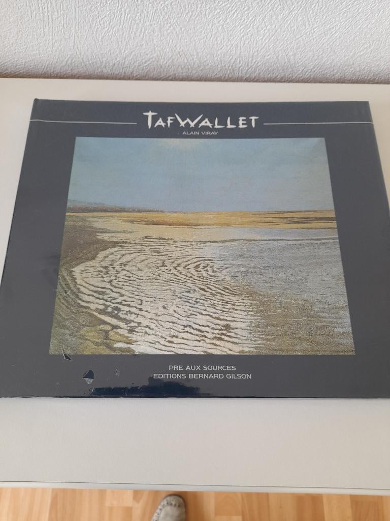 Une œuvre et une vie « nouvelles » de Taf Wallet, peintre, Enlèvement ou Envoi, Neuf, Peinture et dessin, Taf Wallet