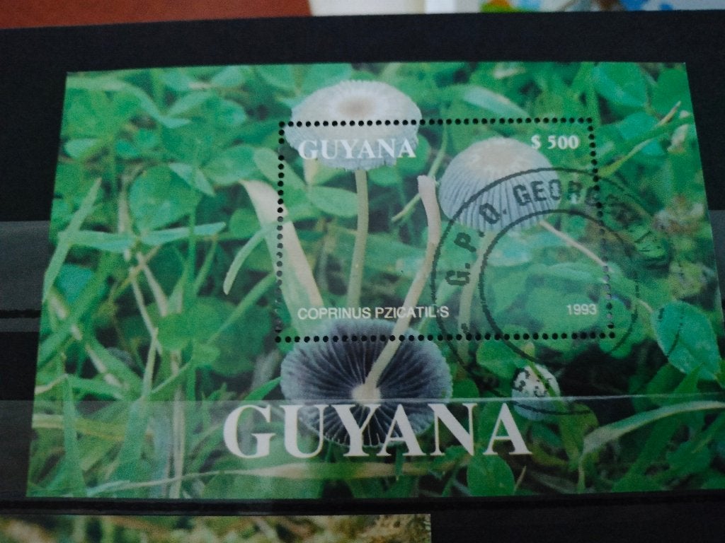 Gyana 1993 - champignons, Envoi, Affranchi