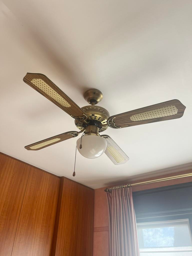 Plafondventilator met verlichting, Enlèvement, Utilisé, Ventilateur de plafond