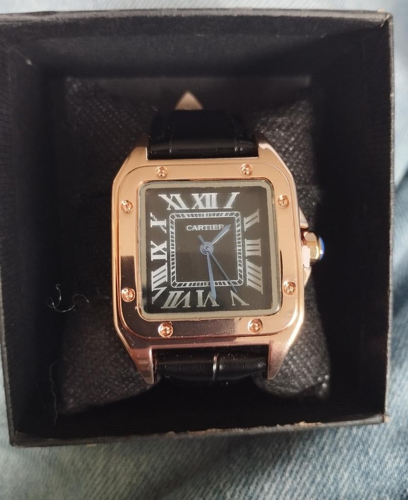 Cette magnifique montre Cartier Santos pour femme est une no, Autres marques, Cuir, Acier, Envoi