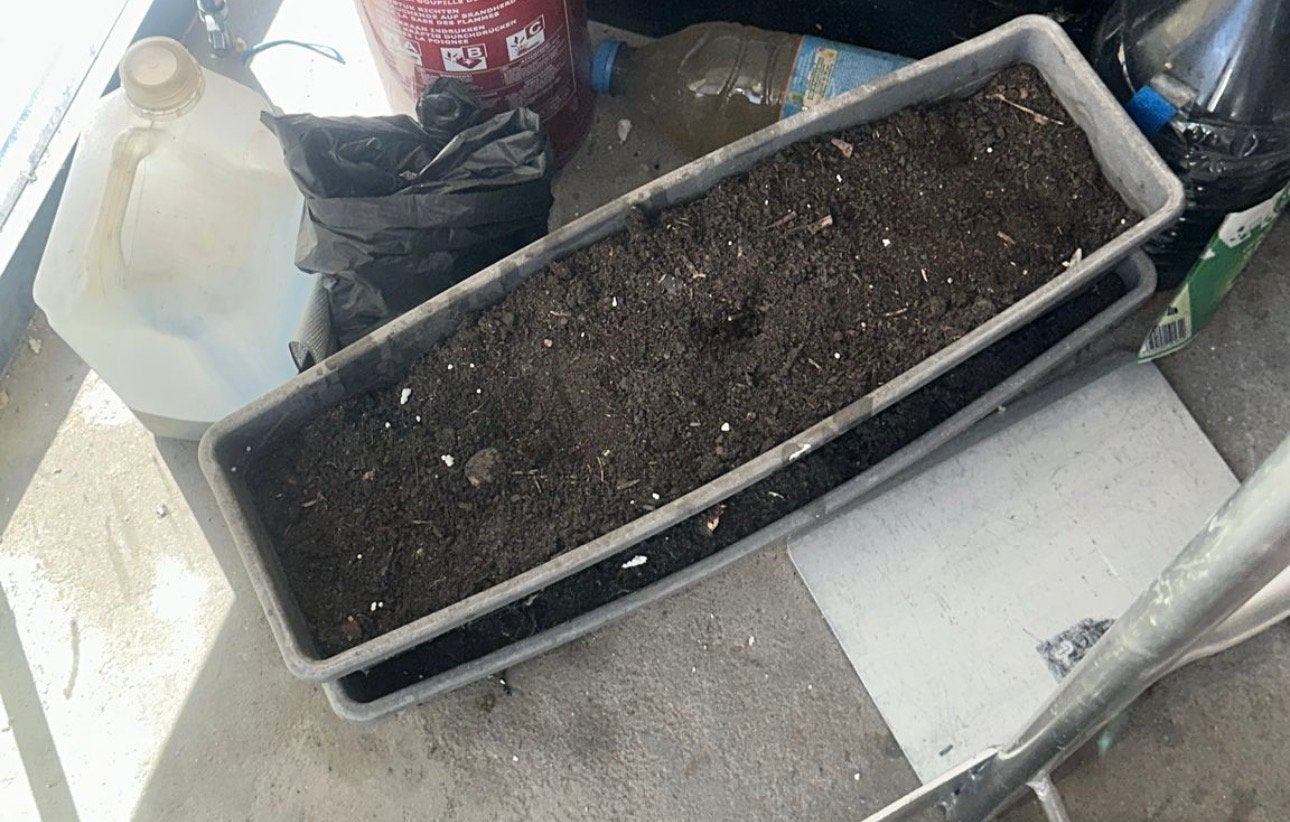 Gratis 2 rechthoekig bloempotten met aarde, Ophalen, Rechthoekig