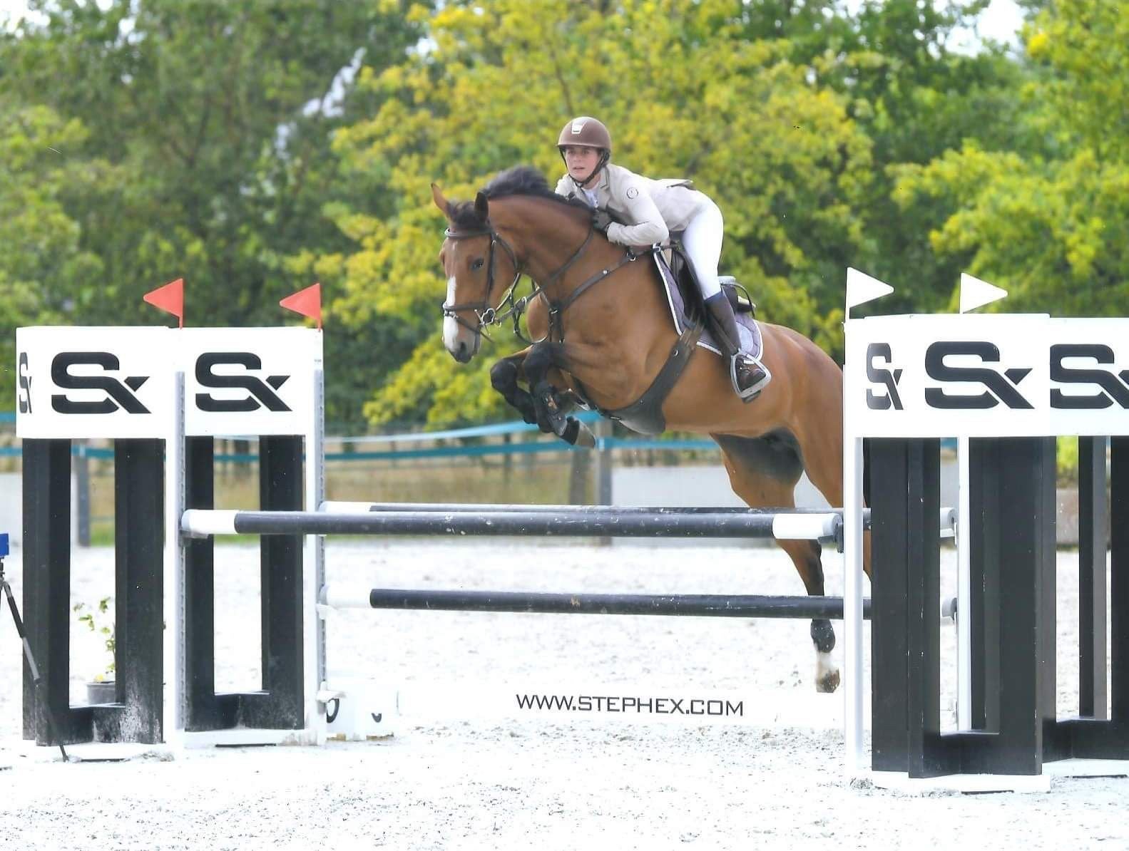Topgefokte Zangersheide Springmerrie (1.20m), Dieren en Toebehoren, Paarden, Merrie, Springpaard, 7 tot 10 jaar, 160 tot 165 cm