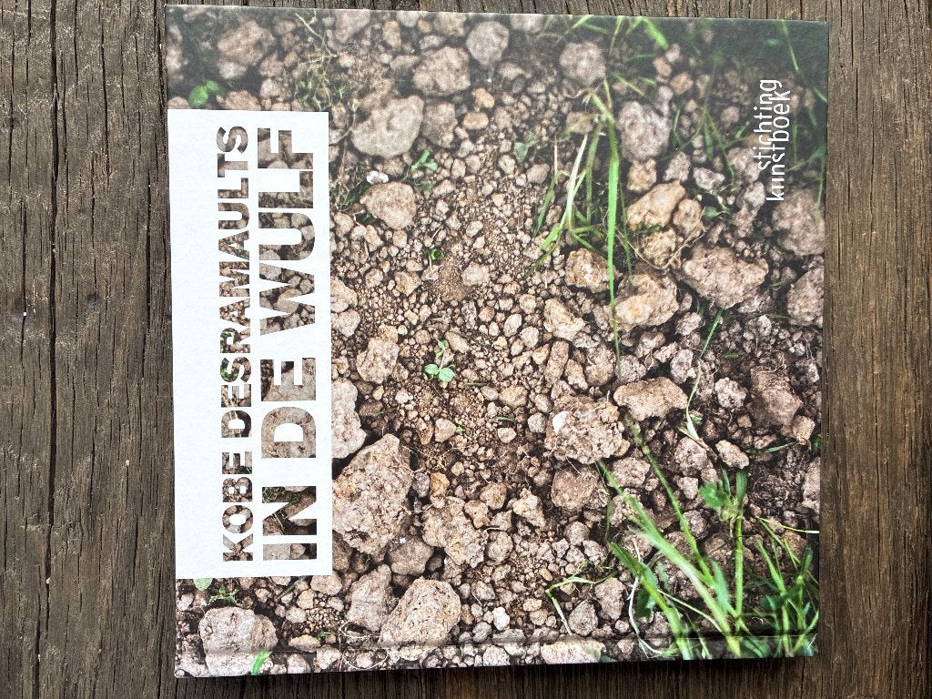 In de Wulf Kobe Desramaults, Boeken, Ophalen of Verzenden, Zo goed als nieuw, Kobe Desramaults, Nederland en België