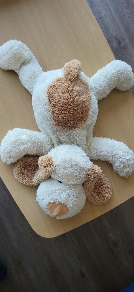 Zachte knuffel hond, geen merk meer, Kinderen en Baby's, Speelgoed | Knuffels en Pluche, Ophalen, Hond, Zo goed als nieuw, Middelgroot (20 tot 80 cm)