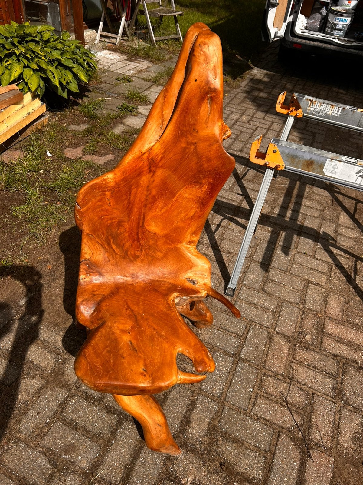 Unieke handgemaakte teakwortelstoel / teak root chair, Ophalen