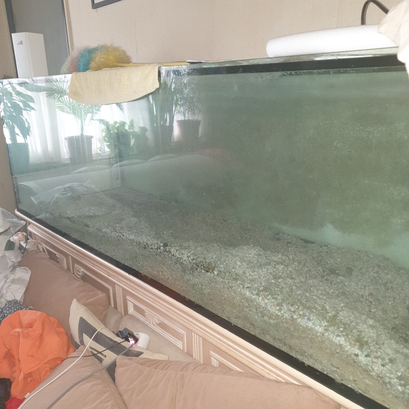 aquarium gratis, Dieren en Toebehoren, Vissen | Aquaria en Toebehoren, Ophalen of Verzenden, Pomp
