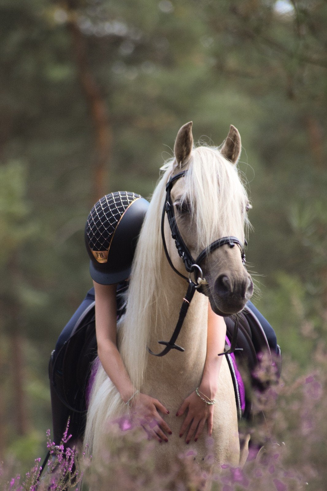 Grote 9 jarige C-pony Partbred Welsh, Animaux & Accessoires, Poney C (1.27 m à 1.37m), B, Avec puce électronique, Hongre