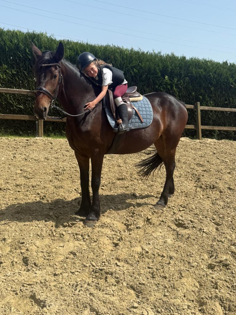 Jument de 5 ans super courageuse, Animaux & Accessoires, Jument