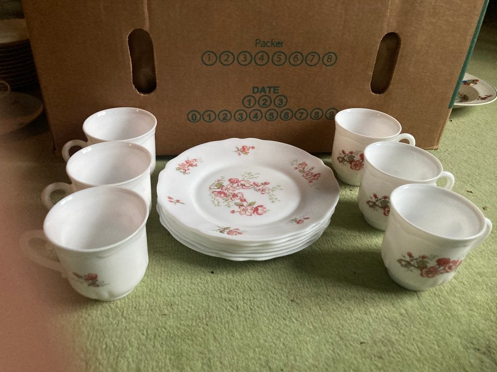Vintage Arcopal France Servies "Florentine, Ophalen, Overige merken, Vintage, Zo goed als nieuw