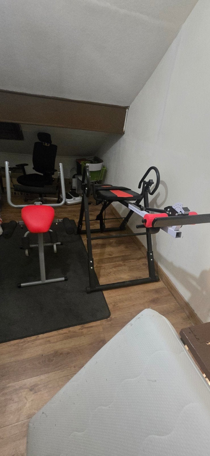 Ensemble fitness dos – banc lombaire + table d’inversion, Enlèvement, Dos
