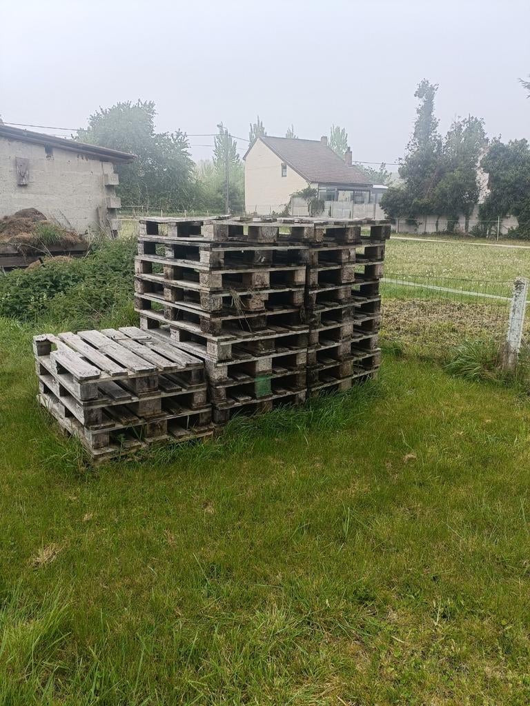 24 palettes, Enlèvement