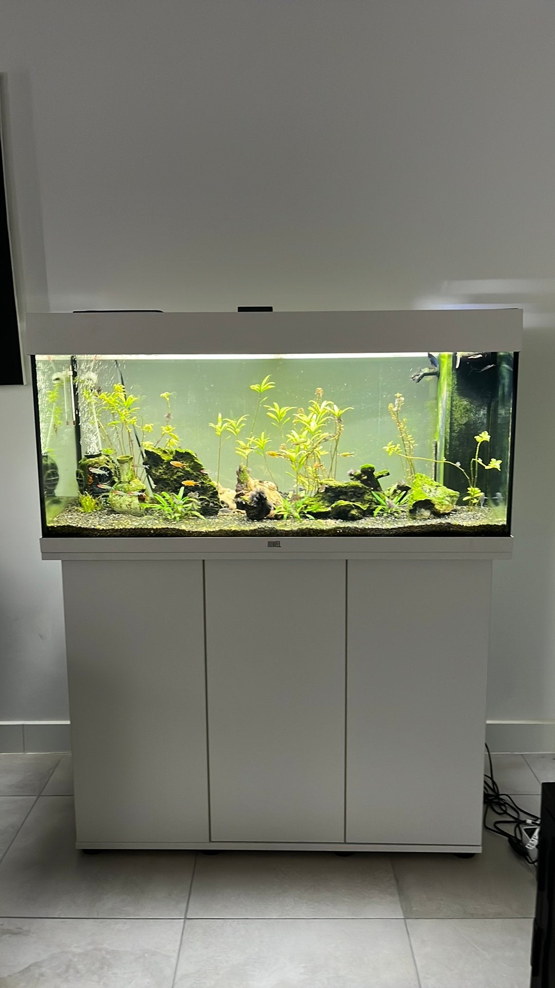 Aquarium juwel 180 liter compleet met alle toebehoren, Dieren en Toebehoren, Ophalen, Zo goed als nieuw, Juwel