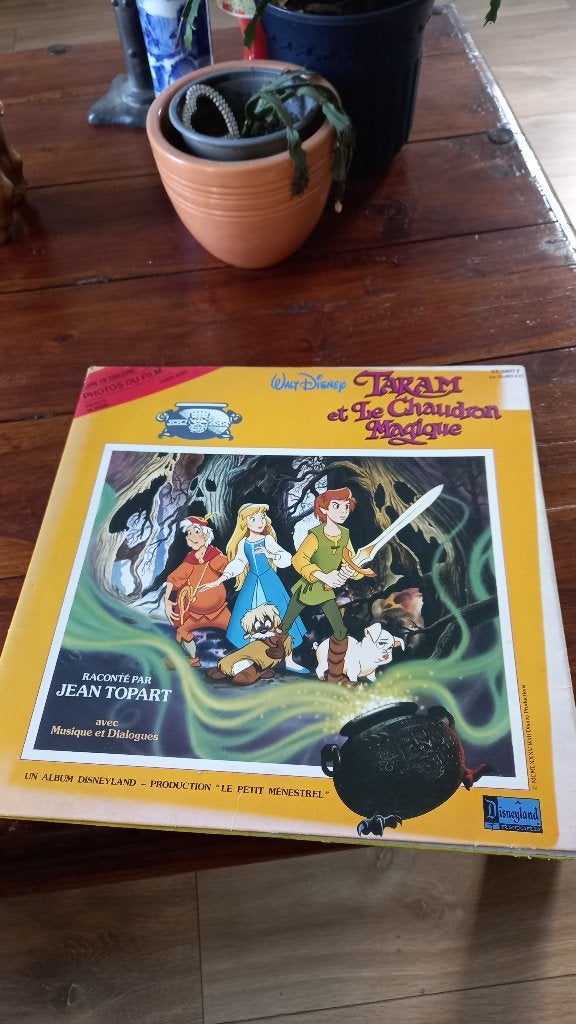 Vinyl 33t disney taram et le chaudron magique, Enlèvement, Utilisé, Autres types