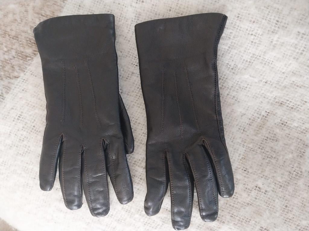 Lederen donkerbruine vrouwen handschoenen, maat 7, Veritas, Brun, Enlèvement, Porté