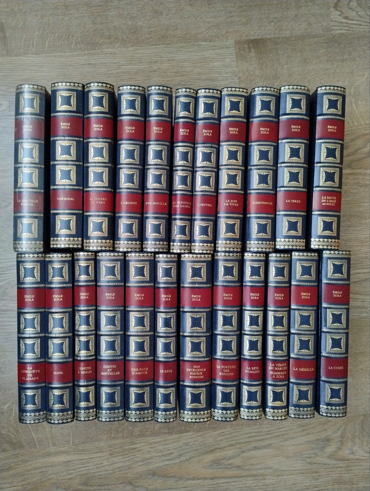 Émile Zola, Boeken, Literatuur