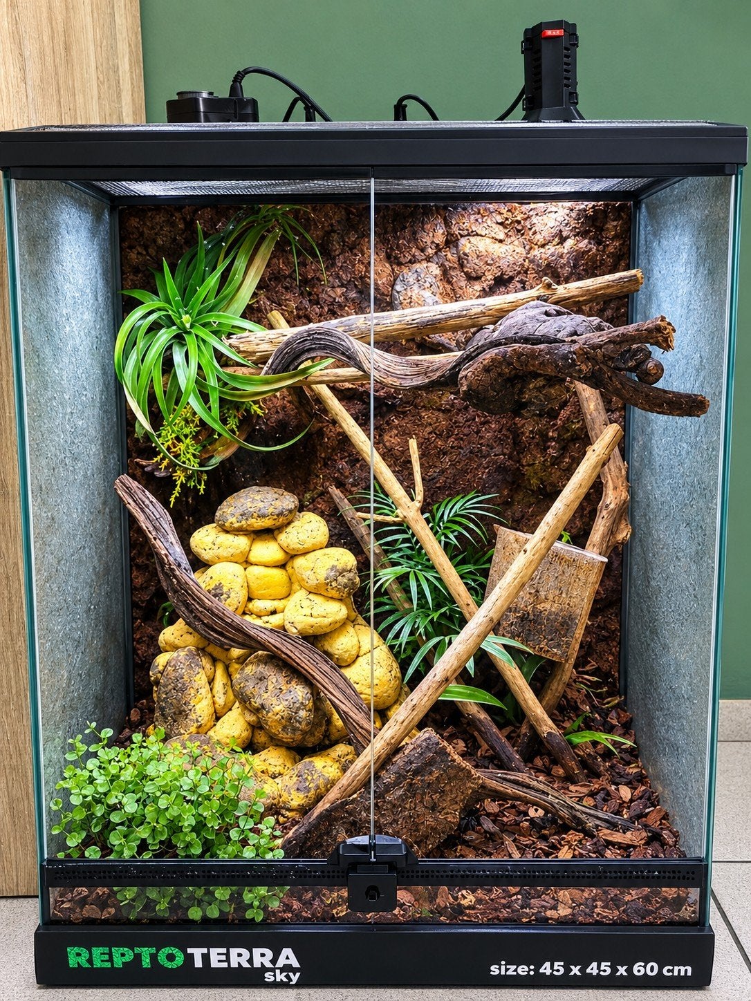 terrarium, Enlèvement, Éclairage
