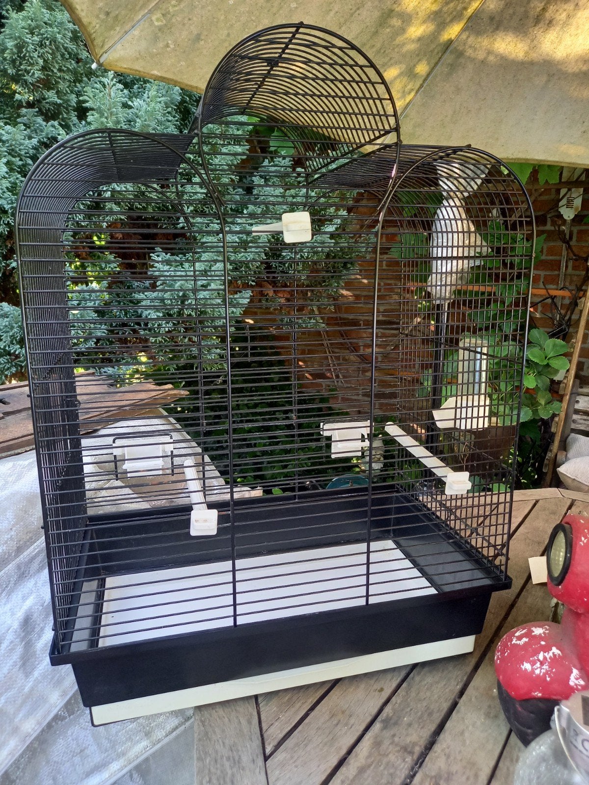 Cage oiseau ou perruche
