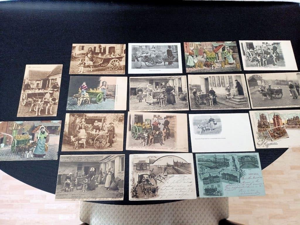 17 attelages spannen), Collections, Cartes postales | Thème, Enlèvement ou Envoi