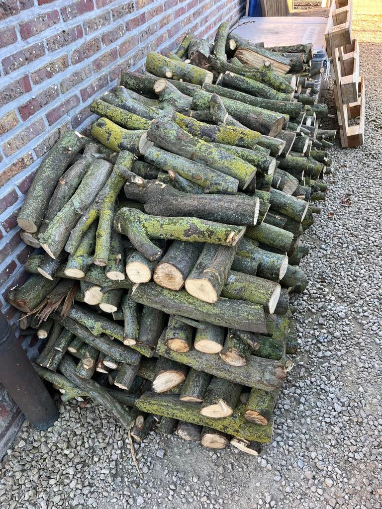 Eikenhout (+-1m3), Tuin en Terras, Brandhout, Minder dan 3 m³, Ophalen, Eikenhout, Takken