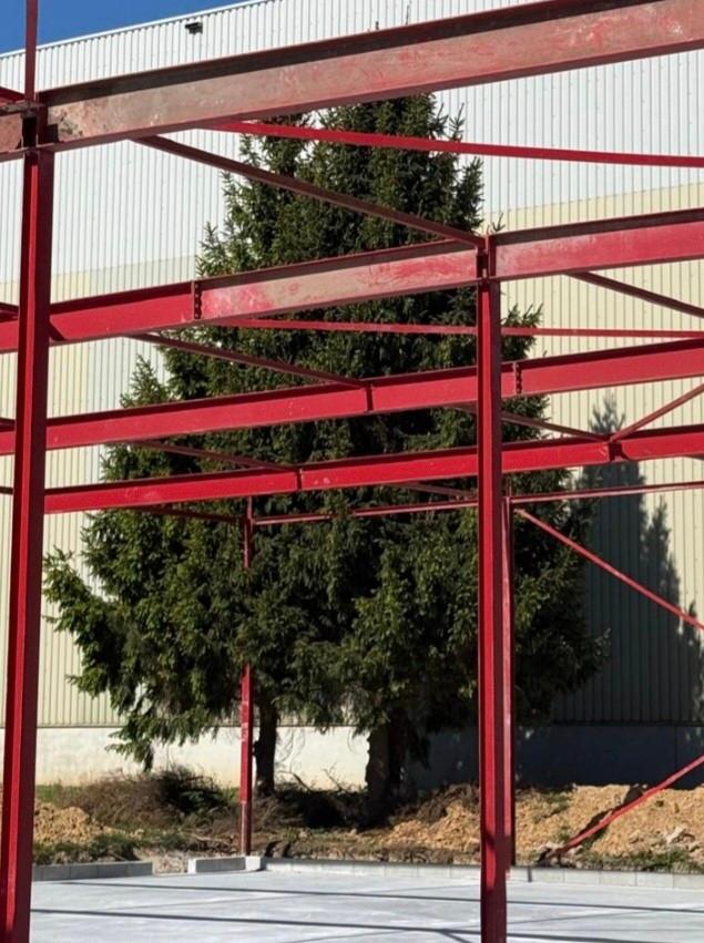 Bois de sapin à donner + copeaux, Jardin & Terrasse, 3 à 6 m³, Enlèvement, Autres essences de bois, Bûches