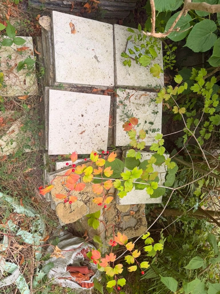 GRATIS natuurstenen tegels – afhalen in Boechout, Doe-het-zelf en Bouw, Ophalen, Gebruikt, Hardsteen, Vloertegels
