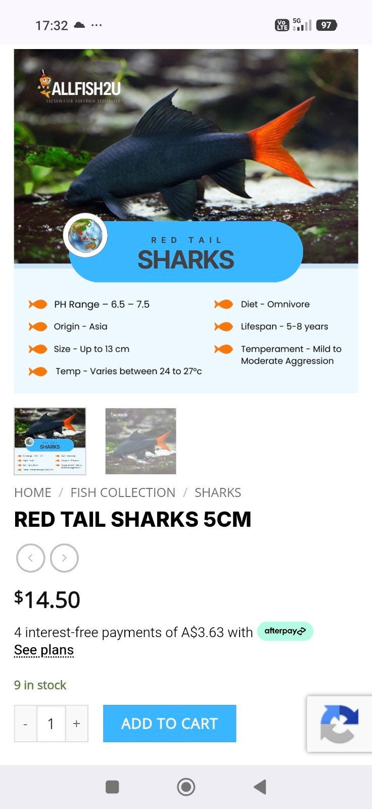 ​Set van 3 aquariumvissen ( Yoyo Loach + 2xRed tail Shark), Enlèvement